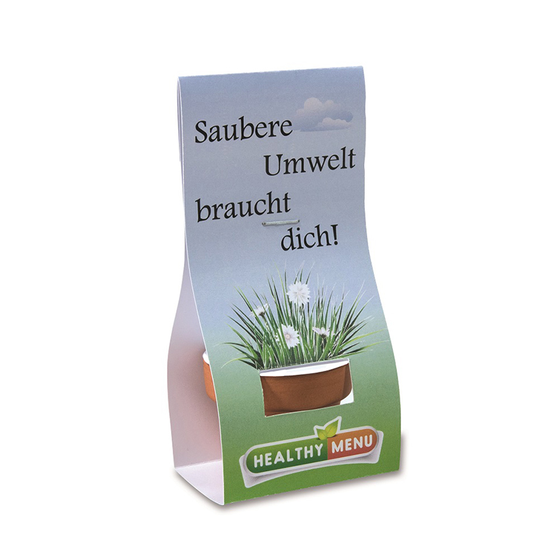 Mini pot en terre avec graines - image 4